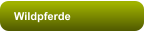 Wildpferde